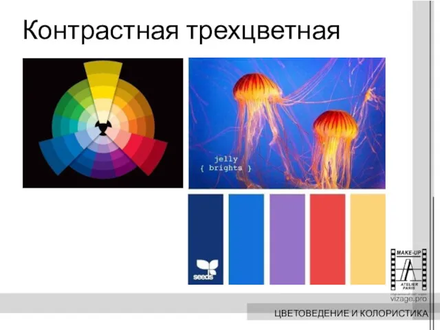 Контрастная трехцветная