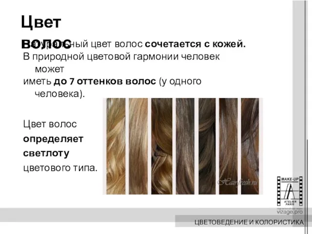 Цвет волос Натуральный цвет волос сочетается с кожей. В природной