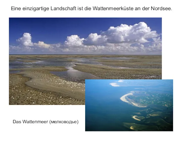 Das Wattenmeer (мелководье) Eine einzigartige Landschaft ist die Wattenmeerküste an der Nordsee.