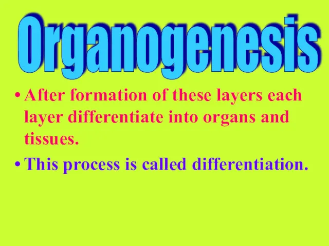After formation of these layers each layer differentiate into organs and tissues. This