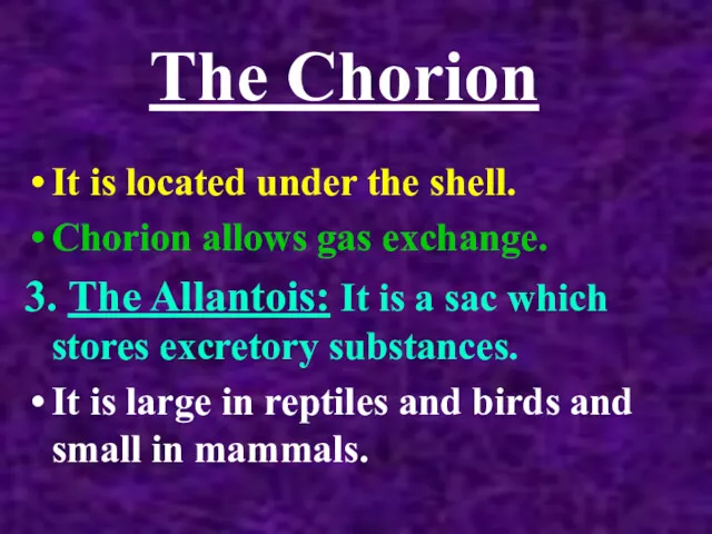 The Chorion It is located under the shell. Chorion allows gas exchange. 3.