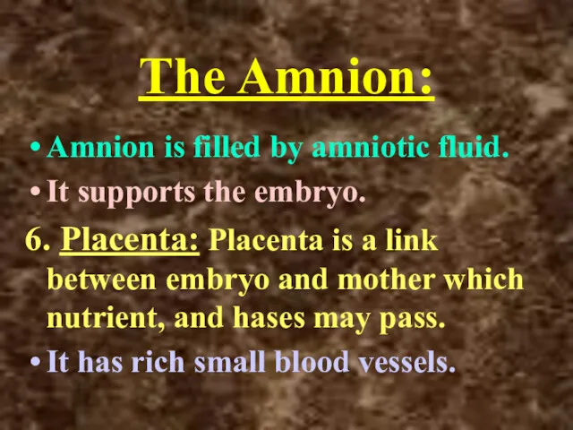 The Amnion: Amnion is filled by amniotic fluid. It supports the embryo. 6.