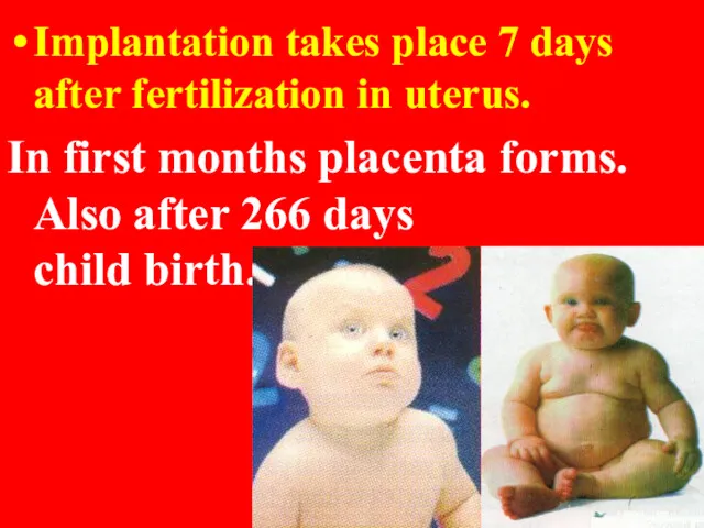 Implantation takes place 7 days after fertilization in uterus. In first months placenta