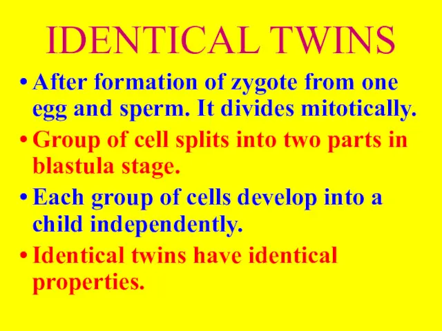 IDENTICAL TWINS After formation of zygote from one egg and sperm. It divides