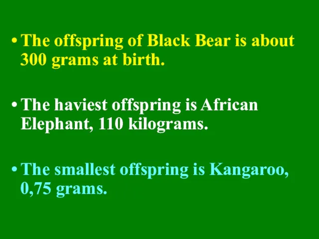 The offspring of Black Bear is about 300 grams at birth. The haviest