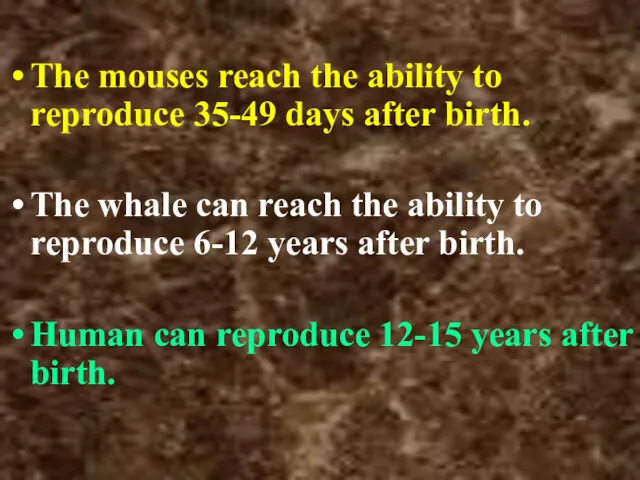 The mouses reach the ability to reproduce 35-49 days after birth. The whale