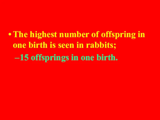 The highest number of offspring in one birth is seen in rabbits; 15