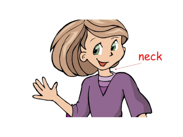 neck