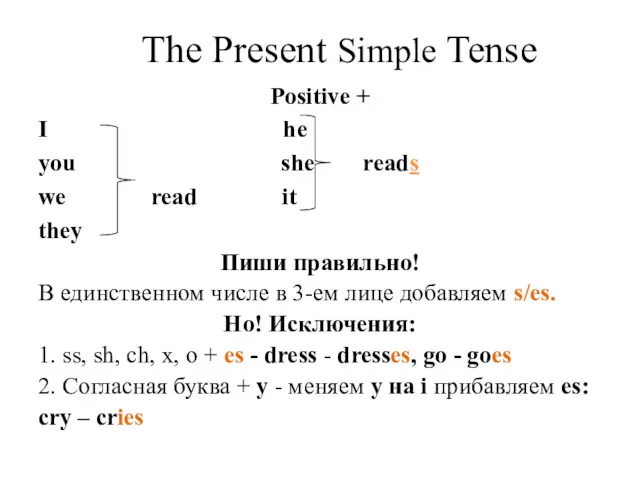 The Present Simple Tense Positive + I he you she