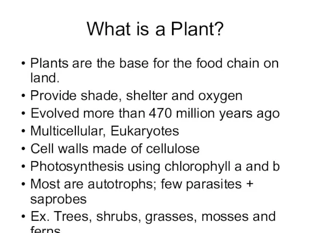 What is a Plant? Plants are the base for the