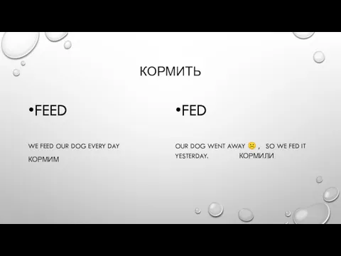 КОРМИТЬ FEED WE FEED OUR DOG EVERY DAY КОРМИМ FED