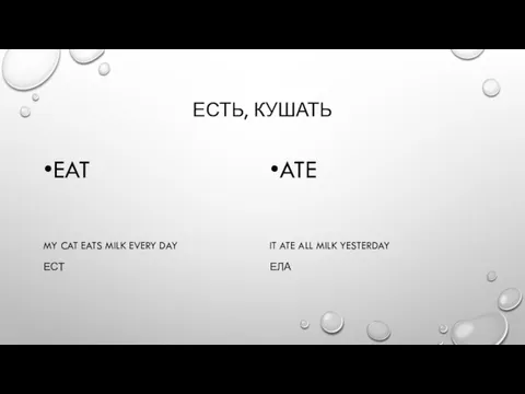 ЕСТЬ, КУШАТЬ EAT MY CAT EATS MILK EVERY DAY ЕСТ