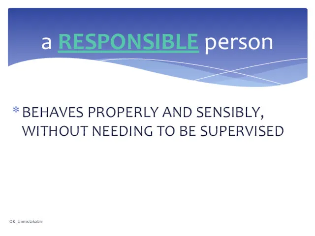 BEHAVES PROPERLY AND SENSIBLY, WITHOUT NEEDING TO BE SUPERVISED a RESPONSIBLE person OK_Unmistakable