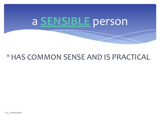 HAS COMMON SENSE AND IS PRACTICAL a SENSIBLE person OK_Unmistakable