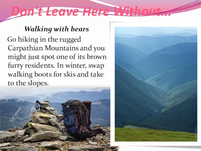 Don't Leave Here Without... Walking with bears Go hiking in