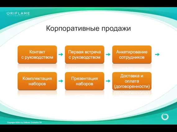 Контакт с руководством Анкетирование сотрудников Первая встреча с руководством Комплектация