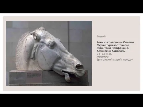 Фидий. Конь из колесницы Селены. Скульптура восточного фронтона Парфенона. Афинский Акрополь . V