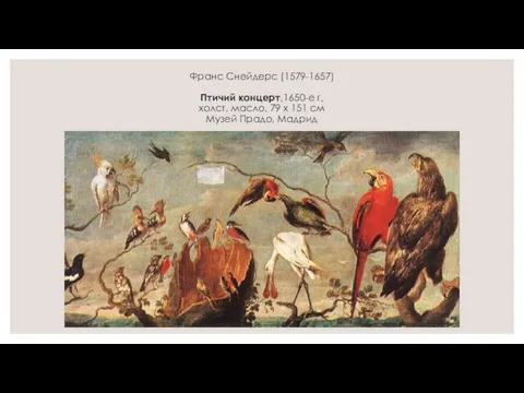 Франс Снейдерс (1579-1657) Птичий концерт,1650-е г, холст, масло, 79 x 151 cм Музей Прадо, Мадрид