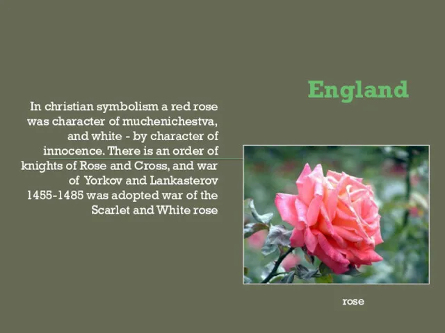 England In christian symbolism a red rose was character of