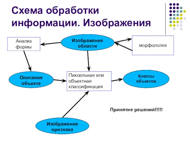 Схема обработки информации. Изображения морфология Описание объекта Анализ формы Классы