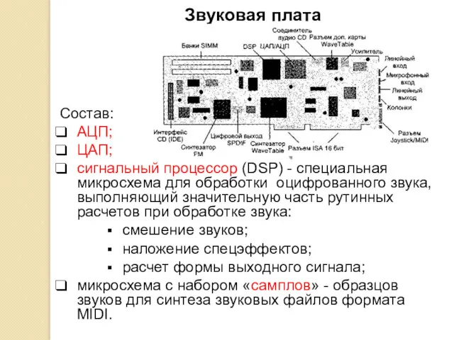 Состав: АЦП; ЦАП; сигнальный процессор (DSP) - специальная микросхема для