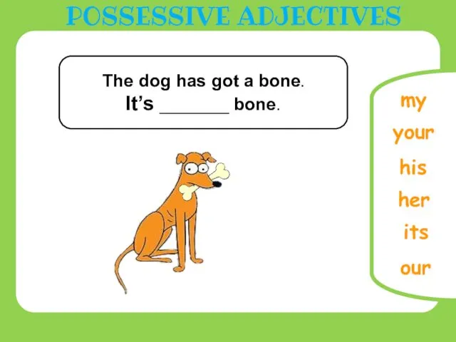 our The dog has got a bone. It’s _______ bone. its POSSESSIVE ADJECTIVES