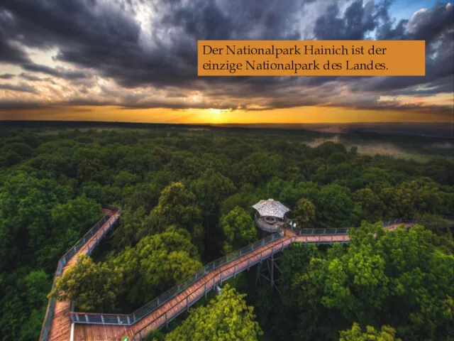 Der Nationalpark Hainich ist der einzige Nationalpark des Landes.