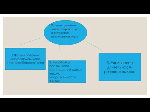 Развитие речевого дыхания происходит в следующей последовательности . 1.Формирование диафрагмального