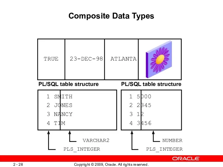 Composite Data Types