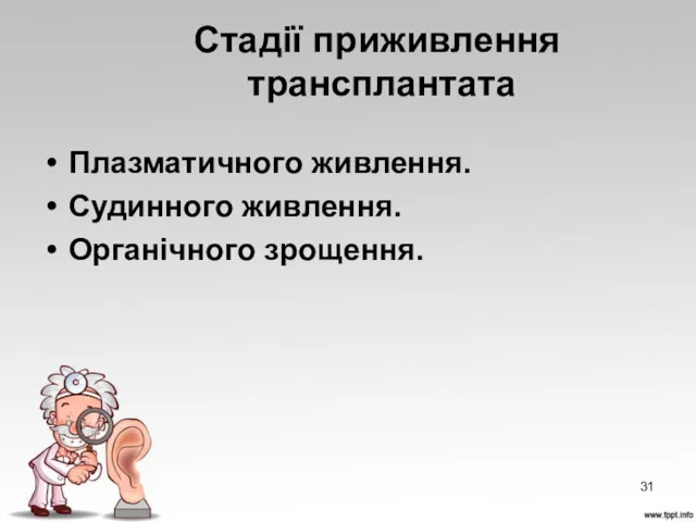 Стадії приживлення трансплантата Плазматичного живлення. Судинного живлення. Органічного зрощення.