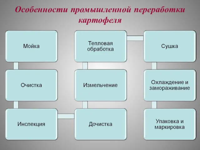 Особенности промышленной переработки картофеля