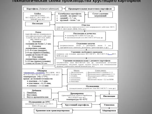 Технологическая схема производства хрустящего картофеля