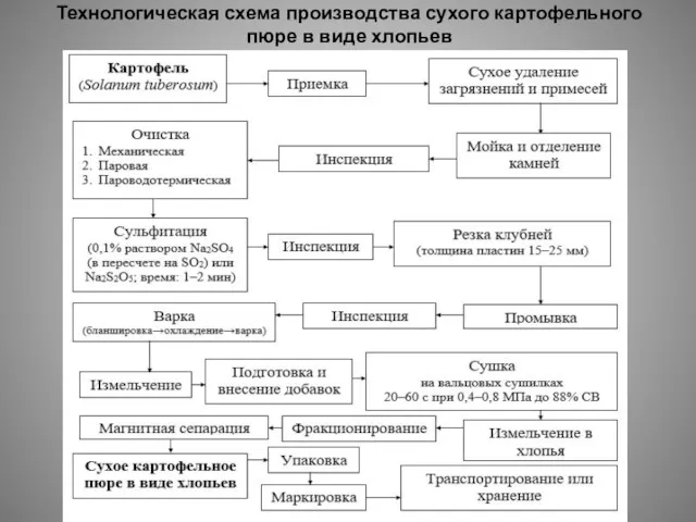 Технологическая схема производства сухого картофельного пюре в виде хлопьев