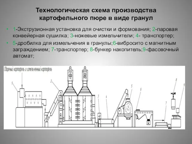 Технологическая схема производства картофельного пюре в виде гранул 1-Экструзионная установка