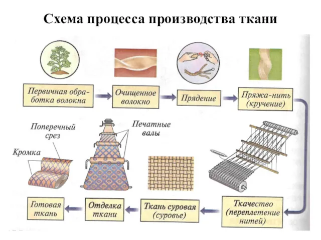 Схема процесса производства ткани