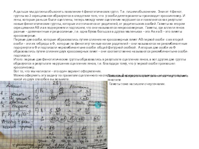 А дальше мы должны объяснить появление 4 фенотипических групп. Т.е.