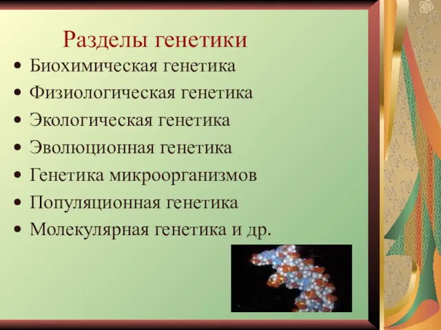 Разделы генетики Биохимическая генетика Физиологическая генетика Экологическая генетика Эволюционная генетика