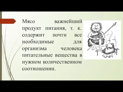 Мясо важнейший продукт питания, т. к. содержит почти все необходимые