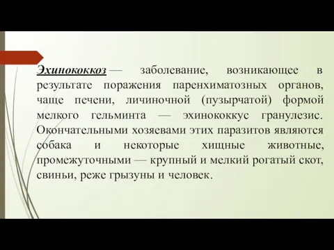 Эхинококкоз — заболевание, возникающее в результате поражения паренхиматозных органов, чаще