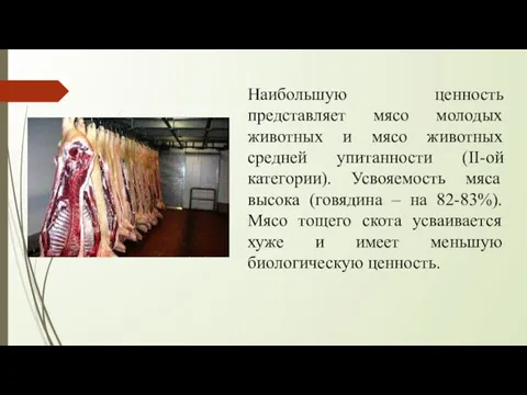 Наибольшую ценность представляет мясо молодых животных и мясо животных средней