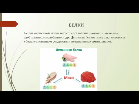 БЕЛКИ Белки мышечной ткани мяса представлены миозином, актином, глобулином, миоглобином