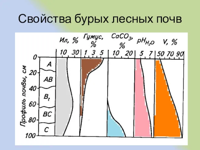 Свойства бурых лесных почв