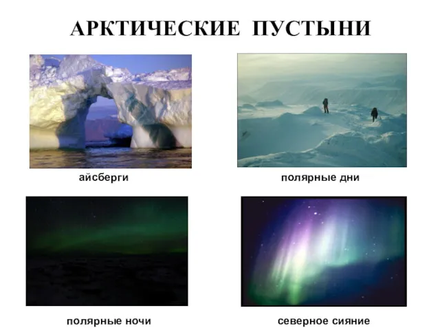 АРКТИЧЕСКИЕ ПУСТЫНИ айсберги полярные дни полярные ночи северное сияние