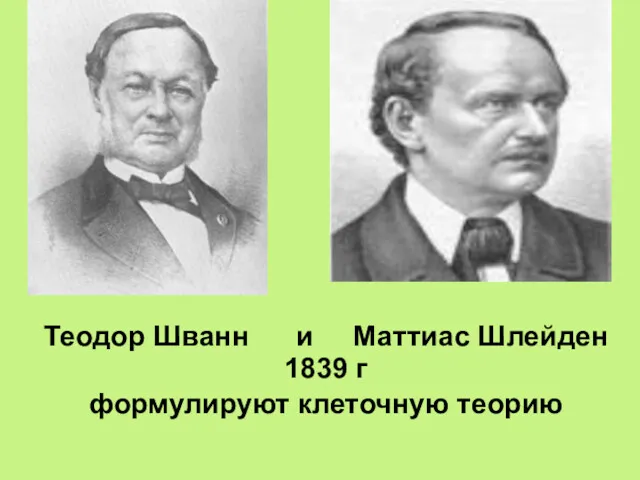 Теодор Шванн и Маттиас Шлейден 1839 г формулируют клеточную теорию
