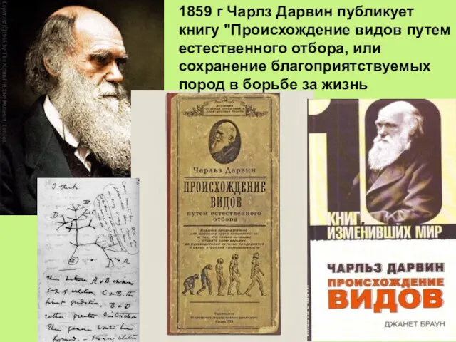 1859 г Чарлз Дарвин публикует книгу "Происхождение видов путем естественного