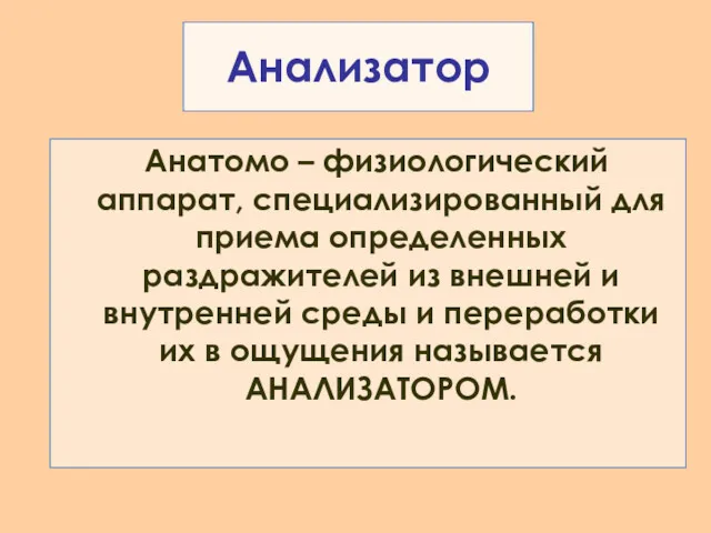 Анатомо – физиологический аппарат, специализированный для приема определенных раздражителей из