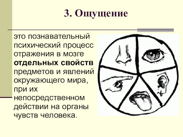 3. Ощущение это познавательный психический процесс отражения в мозге отдельных