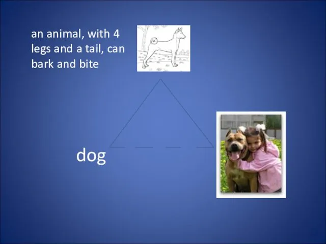 an animal, with 4 legs and a tail, can bark and bite dog