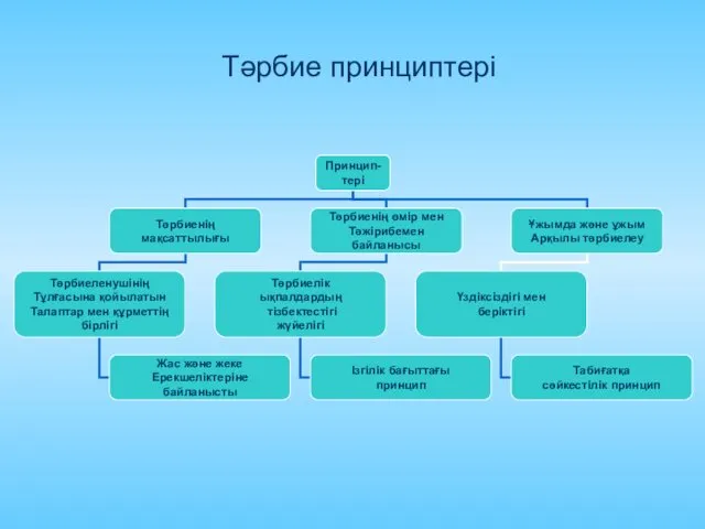 Тәрбие принциптері