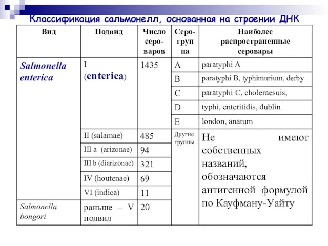 Классификация сальмонелл, основанная на строении ДНК